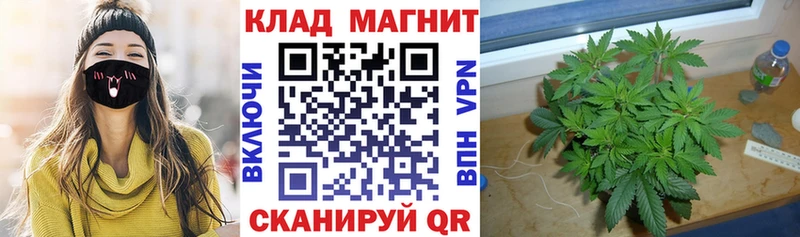 Где купить Чайковский APVP КОКАИН ГАШИШ МЕФ АМФ blacksprut рабочий сайт Марихуана