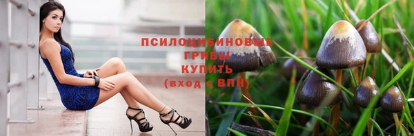 скорость Алзамай