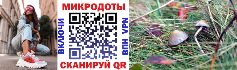 Галлюциногенные грибы Psilocybine cubensis  продажа наркотиков  Чайковский 